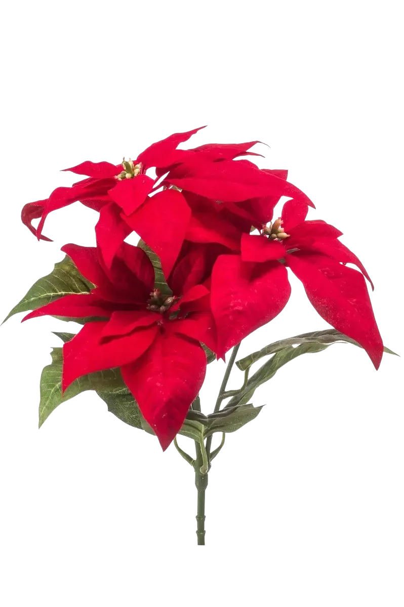 Künstliche Poinsettia - Arthur | 32 cm, Steckpflanze