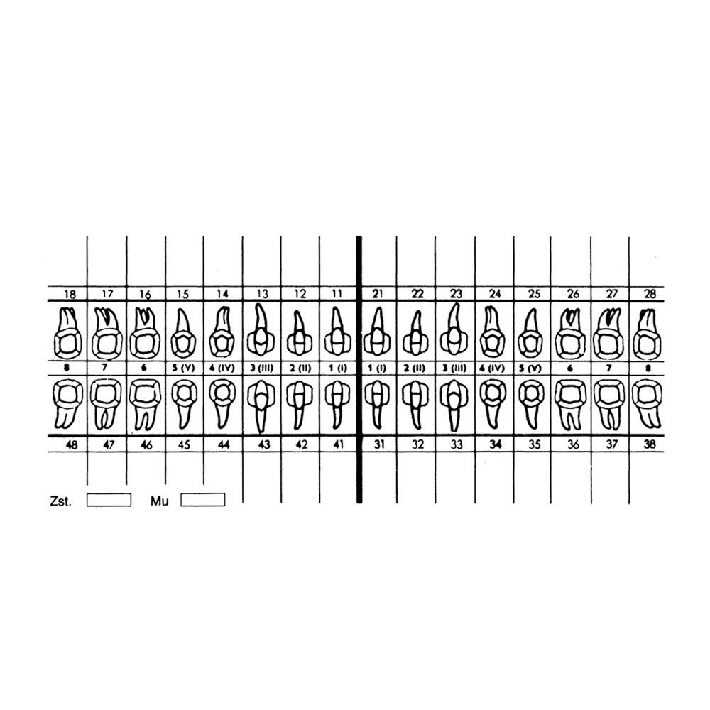 GX59101_Zahnschema_weiss_SK_100St Zahnschema weiß SK 100St