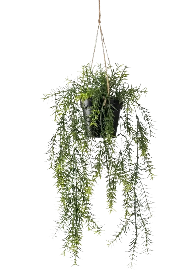 Künstlicher Hänge-Zierspargel - Kilian | 50 cm