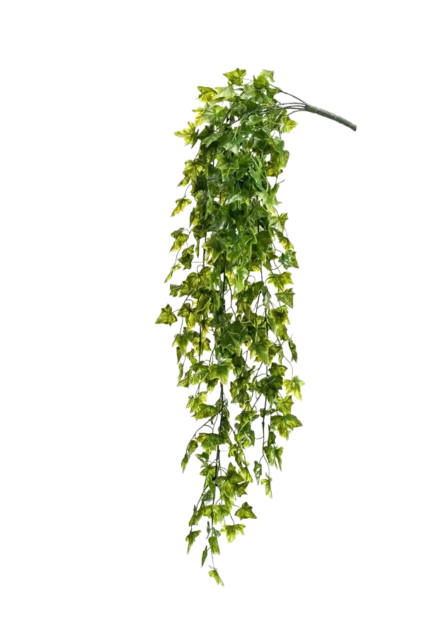 Künstlicher Hänge-Efeu - Kenan | 75 cm