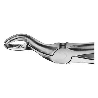 Aesculap AG ANATOMICA Zahnzange Fig.67 DH767R St