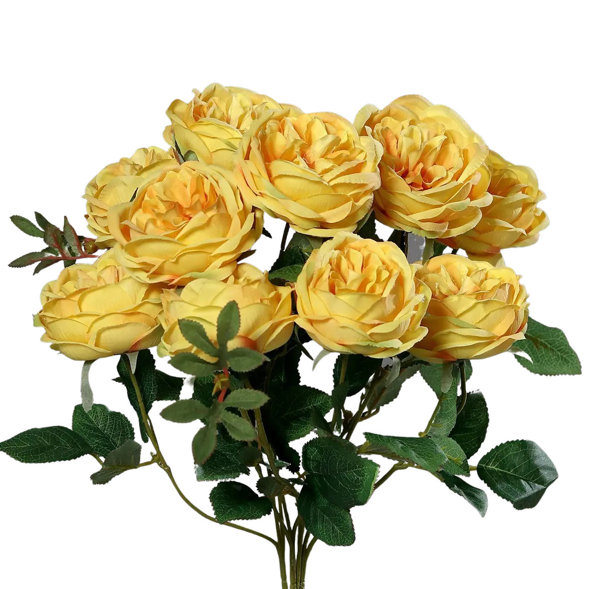 aplanta-40153-74_aplantaRosenstrauss_mit_10_Bluetenkoepfen__Thalia__45_cm Rosenstrauß mit 10 Blütenköpfen - Thalia | 45 cm