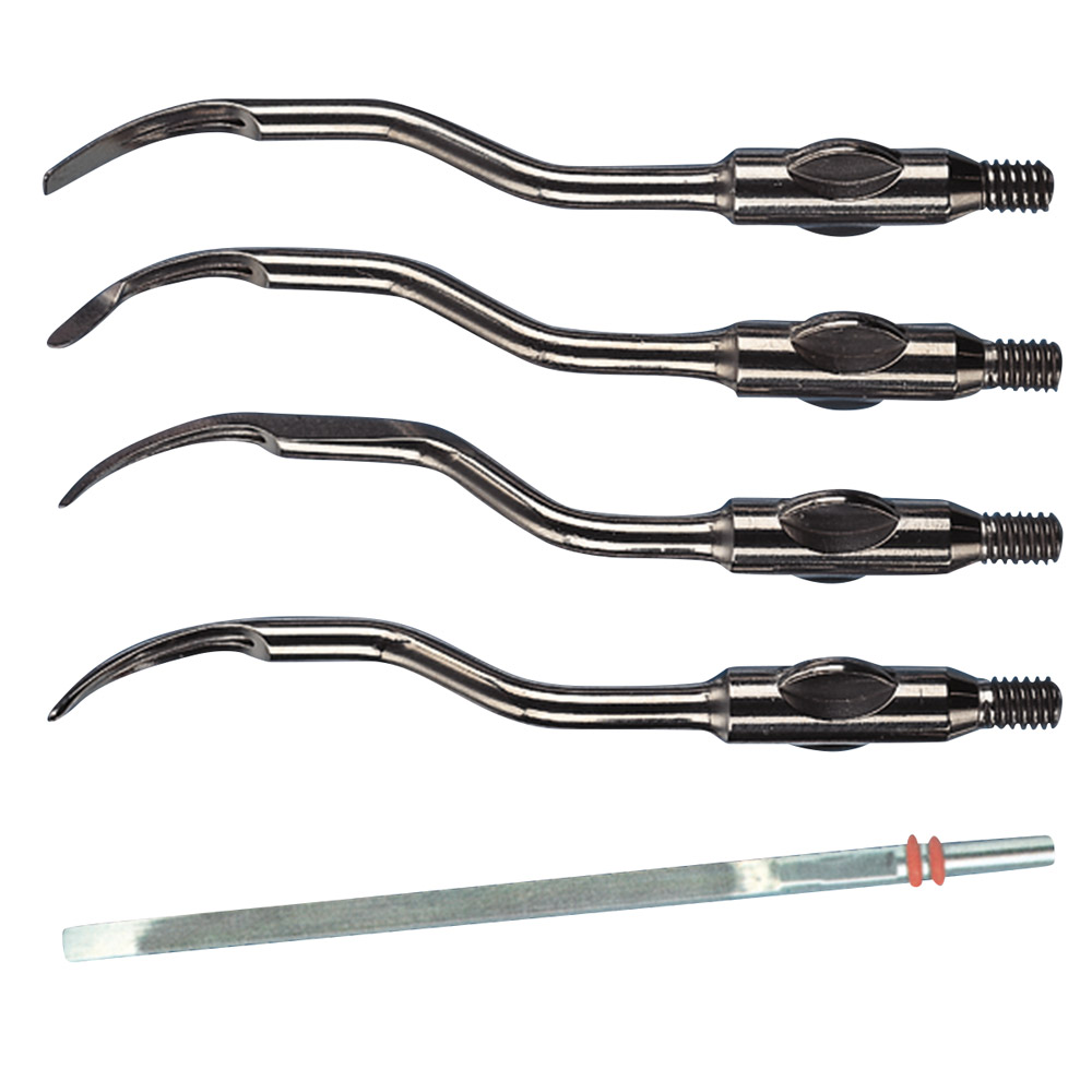 Sonus Instrumenteneinsatz -M2- St