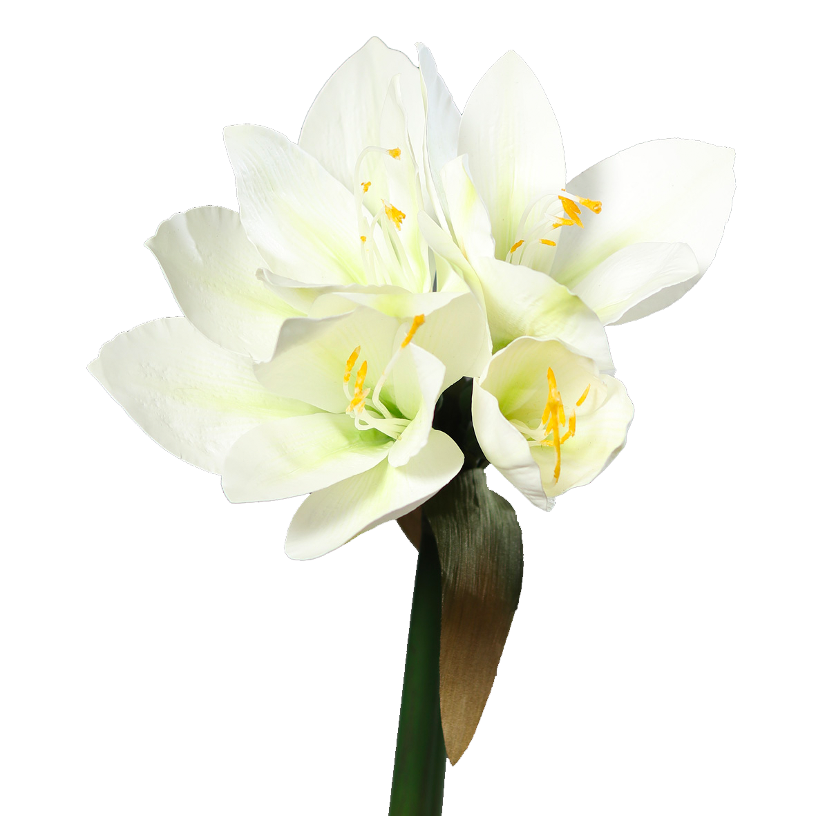 Künstliche Amaryllis - Jovie | 30 cm, weiß
