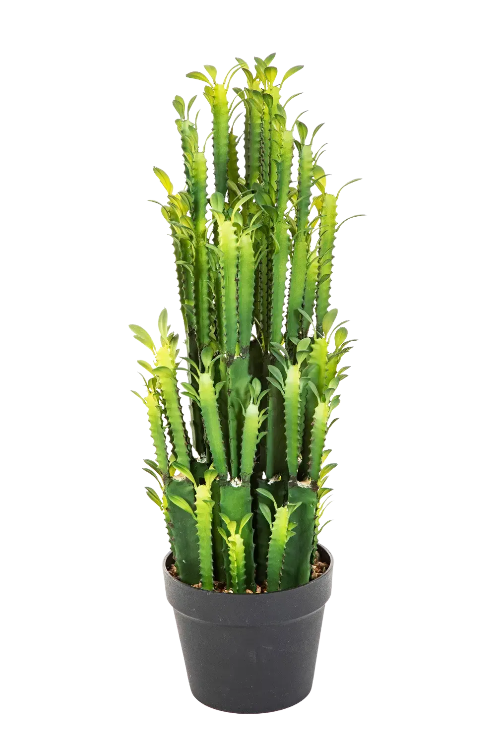 Künstlicher Kaktus - Hermine | 64 cm